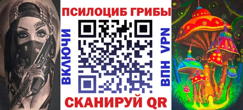 Купить Кисловодск Галлюциногенные грибы Psilocybine cubensis